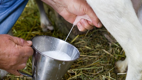 Leche fresca en máquina
